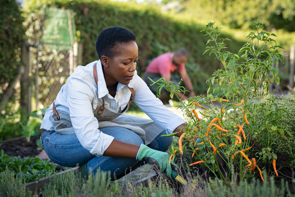 community garden with people tending to plants